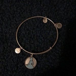 Cinderella Alex and ani